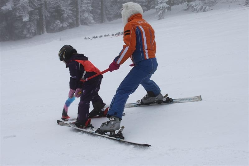 Sijanje 2012. u Ravnoj Gori